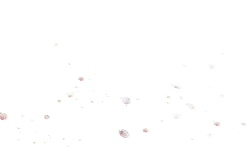 Stars in the Night Sky - universe - High Resolution PNG