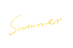 Summer - holiday - sunlight - Transparent Layer PNG