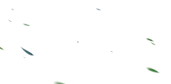 Flying Leaves - green - High Resolution PNG