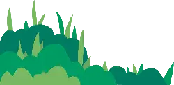Grassland - growth - No Background PNG