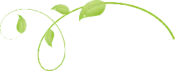 Vine and Leaves - vine - Lossless PNG