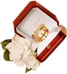 Gold Ring - gift - High Resolution PNG