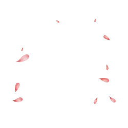 Pink Petals Falling - Transparent Layer PNG - background
