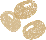 Clover - ecology - Designer Recommended PNG