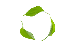 Three Green Leaves - environmental protection - No Background PNG