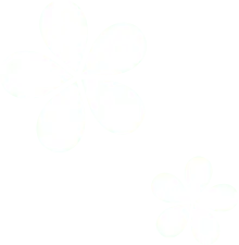 Five Petal Flower - PNG