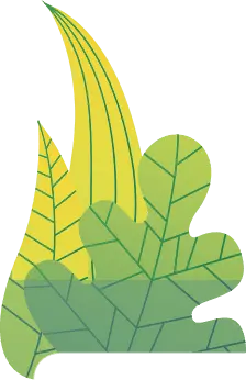 Green Leaves - art - Lossless PNG