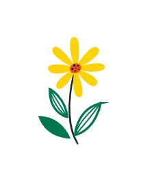 Sunflower - plant - sun - Free Download PNG