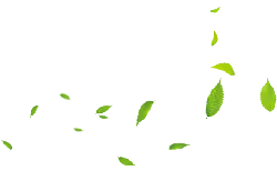 Leaves Falling - green - Curated PNG