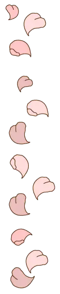 Pink Petals - High Quality PNG - lightweight