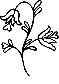 Black Background - visual effect - contrast - High Resolution PNG