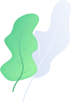 Green Leaf - High Quality PNG - nature