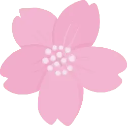 nature - High Resolution PNG - Cherry Blossom - Pic 3