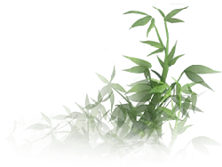 Bamboo - leaves - High Download Count PNG