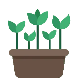 Potted Plant - growth - leaves - PNG