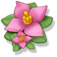 Pink Flowers - nature - flowers - Transparent Background PNG