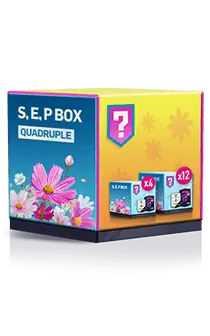 S.E.P BOX QUADRUPLE - quadruple - PNG