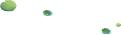 Lotus Leaf - nature - Trending PNG