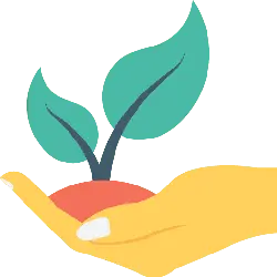 Hand Holding a Seedling - care - PNG
