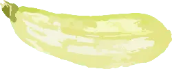 Cucumber - fruit - PNG Images