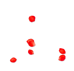 Rose Petals - romantic - Designer Recommended PNG