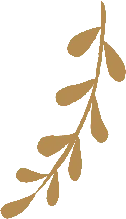 Palm Leaf - nature - decoration - No Watermark PNG