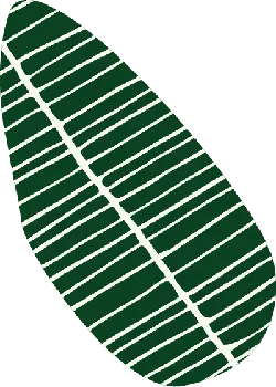 Banana Leaf - Transparent Background PNG - green