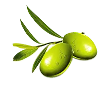 Olive Branch - plant - Trending PNG