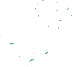 Green Leaves - nature - Free PNG