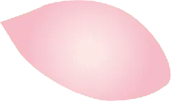 Pink Petal - Highly Rated PNG