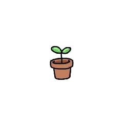 Potted Plant - growth - High Resolution PNG