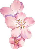 No Background PNG - spring - Cherry Blossom - Pic 2