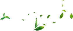 Leaves Falling - falling - Lossless PNG