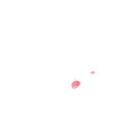 Rose Petals - beautiful - flower - Free Download PNG