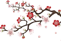 Plum Blossom Branch - plant - illustration - Free PNG