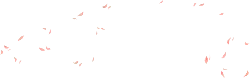 Pink Feathers - No Background PNG