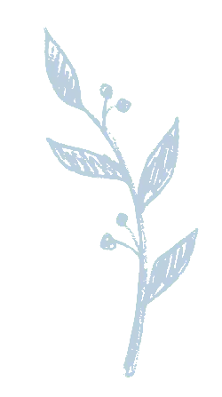 Plant Branch - Lossless PNG