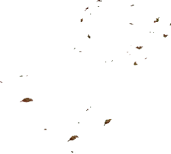 Autumn Leaves - Fast Download PNG