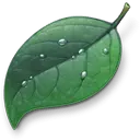 Green Leaf - Recommended PNG - nature