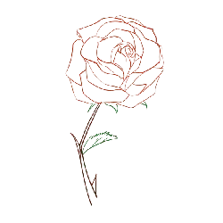 Red Rose - PNG Images - Fast Download PNG