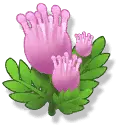 Pink Flowers - plant - Free Download PNG
