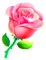 Rose - romantic - PNG