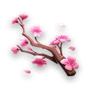 Cherry Blossom Branch - Transparent Background PNG - branch
