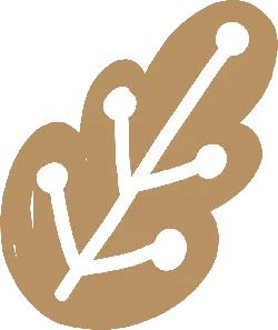 Branch - growth - Curated PNG