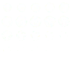 Petals Shape Sequence - petal - Free PNG