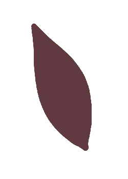 Purple Leaf - shape - No Background PNG