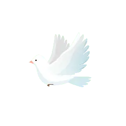 Dove - freedom - High Resolution PNG