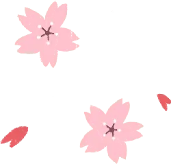 Pink Cherry Blossom - PNG