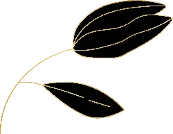 Abstract Line Art - minimalist - modern - High Resolution PNG
