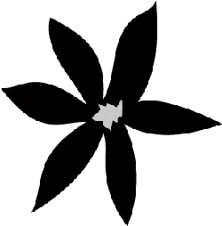 Bat - No Background PNG